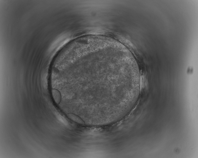 X0000101110243200807241142