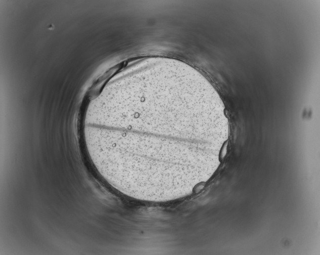 X0000101110244200807241142