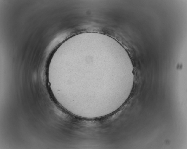 X0000101110245200807241142