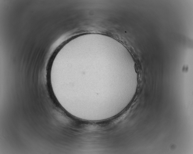 X0000101110246200807241142