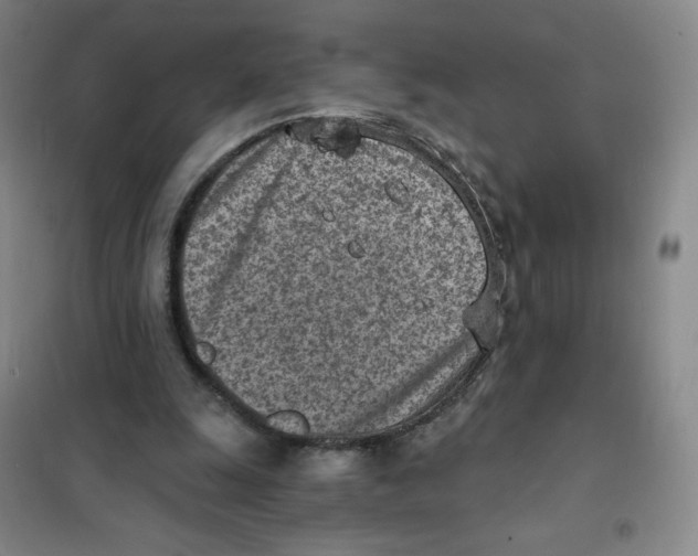 X0000101110247200807241142