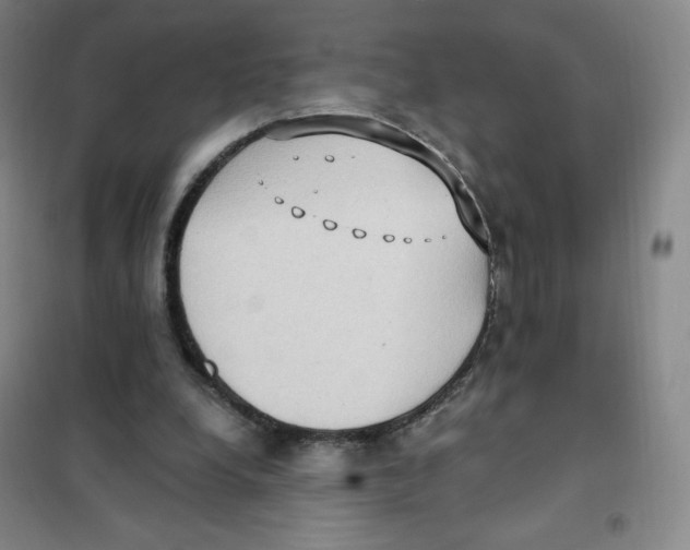 X0000101110248200807241142