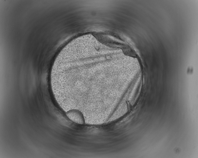 X0000101110249200807241142