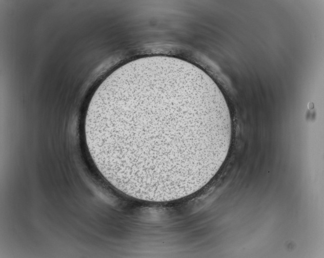 X0000101110250200807241142