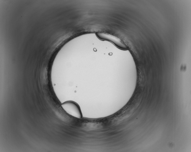 X0000101110251200807241142