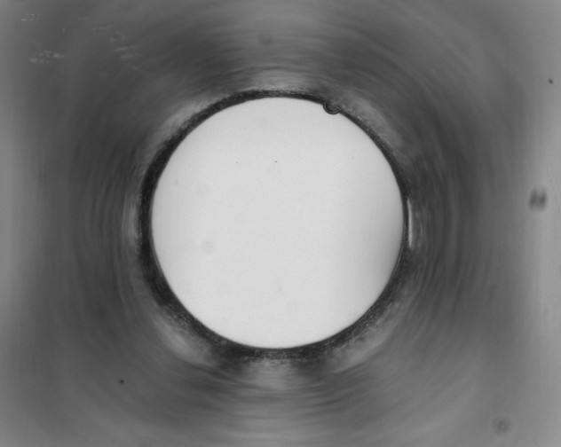 X0000101110252200807241142
