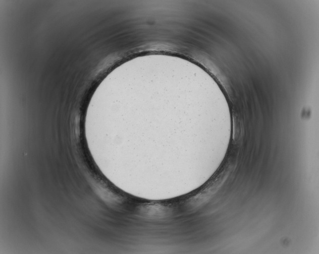 X0000101110253200807241142