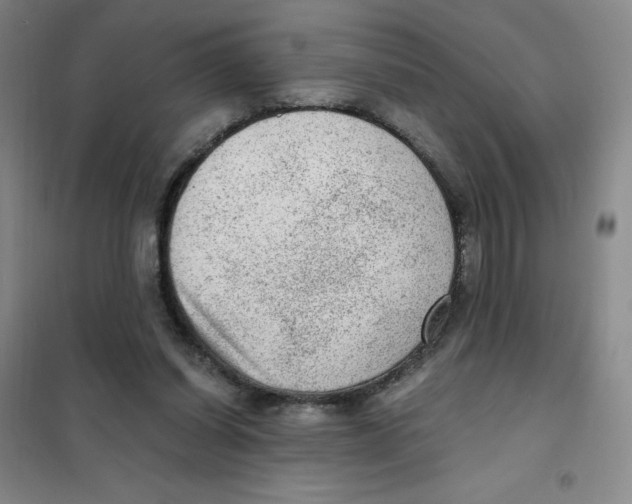 X0000101110254200807241142