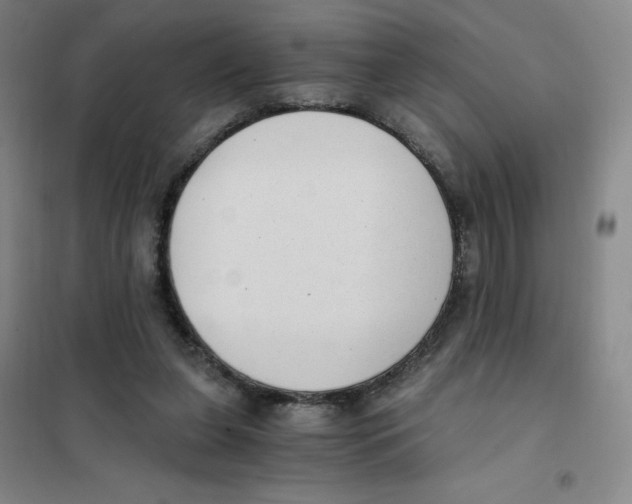 X0000101110255200807241142