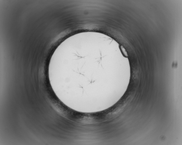 X0000101110256200807241142