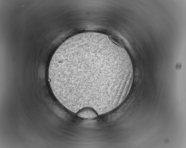 X0000101110257200807241142
