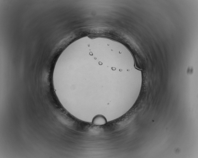 X0000101110258200807241142