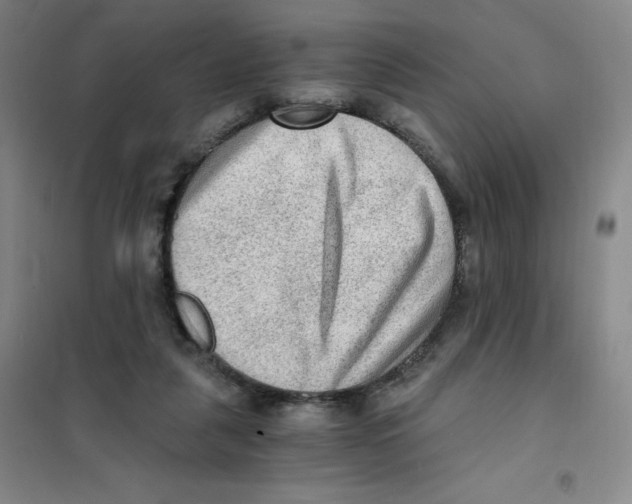 X0000101110259200807241142