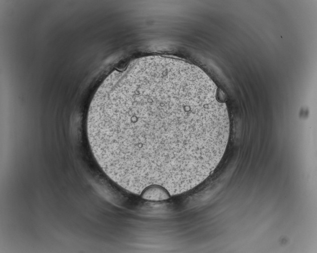 X0000101110260200807241142