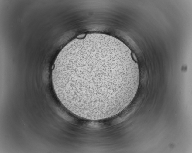 X0000101110261200807241142