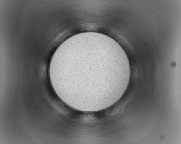 X0000101110262200807241142