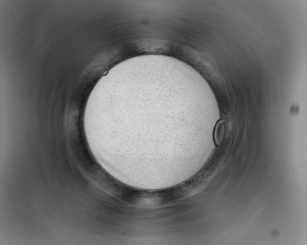 X0000101110263200807241142