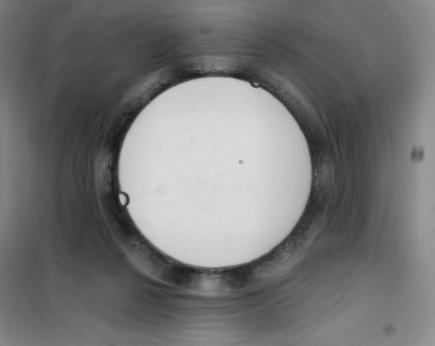 X0000101110264200807241142