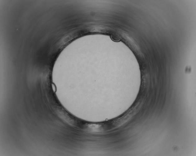 X0000101110265200807241142