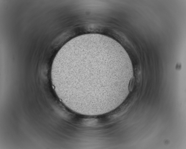 X0000101110266200807241142
