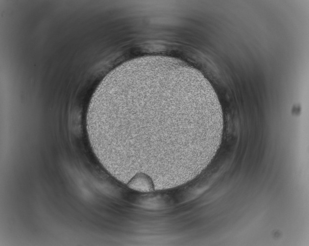 X0000101110267200807241142