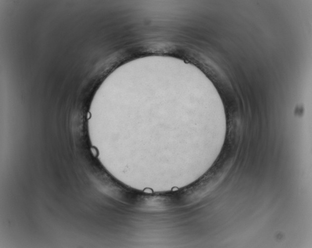 X0000101110268200807241142
