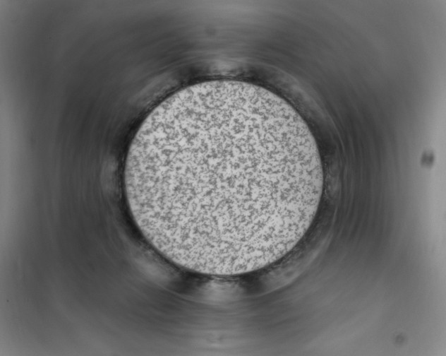 X0000101110270200807241142