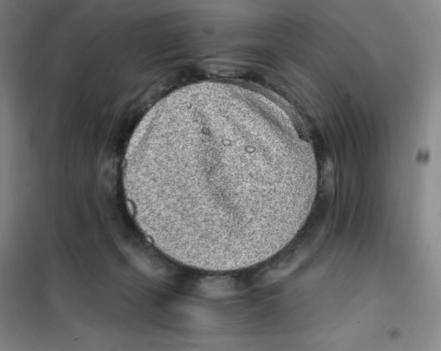 X0000101110271200807241142