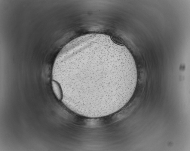 X0000101110273200807241142
