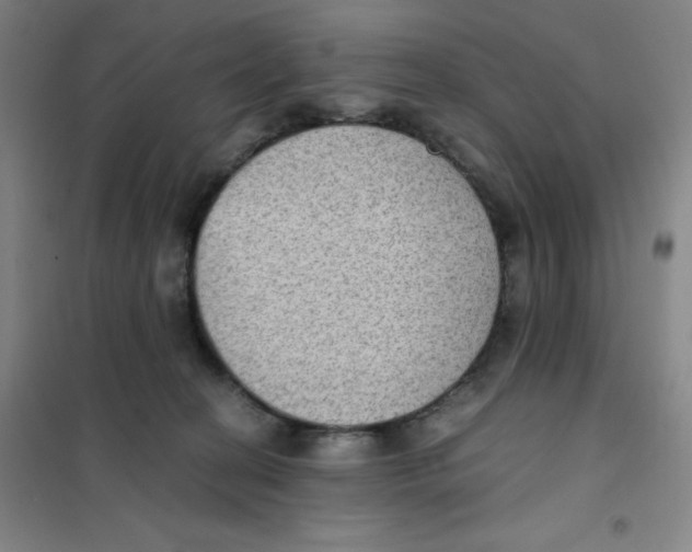 X0000101110274200807241142