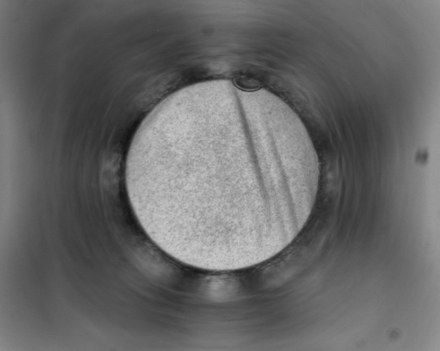 X0000101110275200807241142