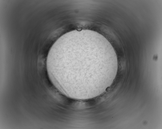X0000101110276200807241142