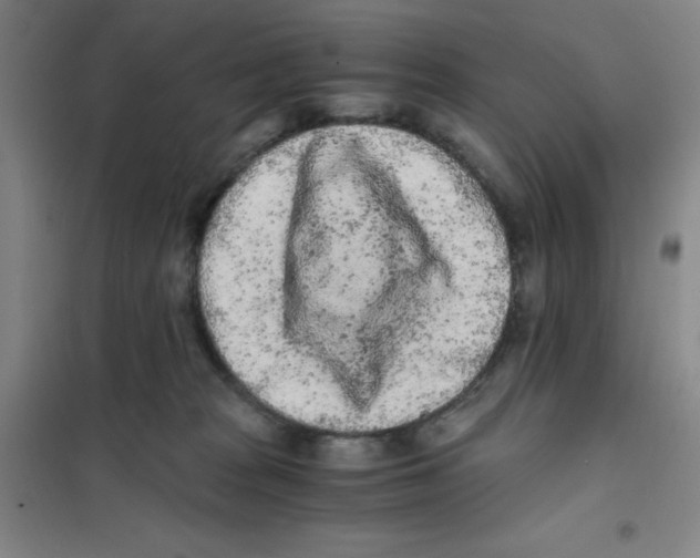 X0000101110277200807241142