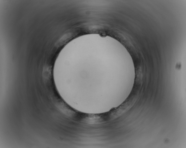 X0000101110278200807241142