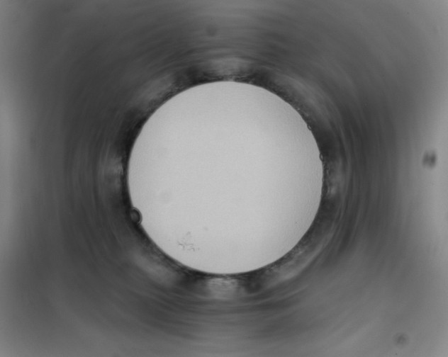 X0000101110279200807241142