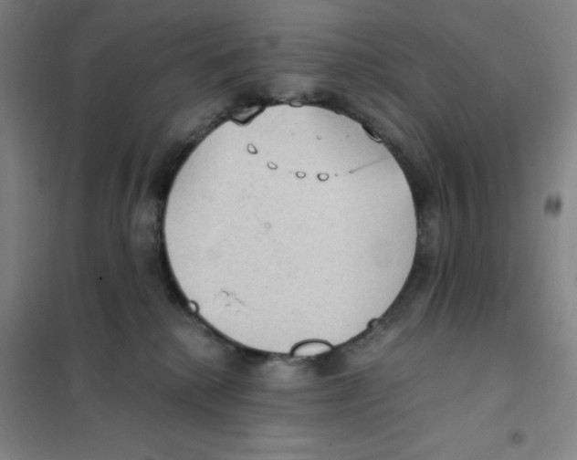X0000101110280200807241142
