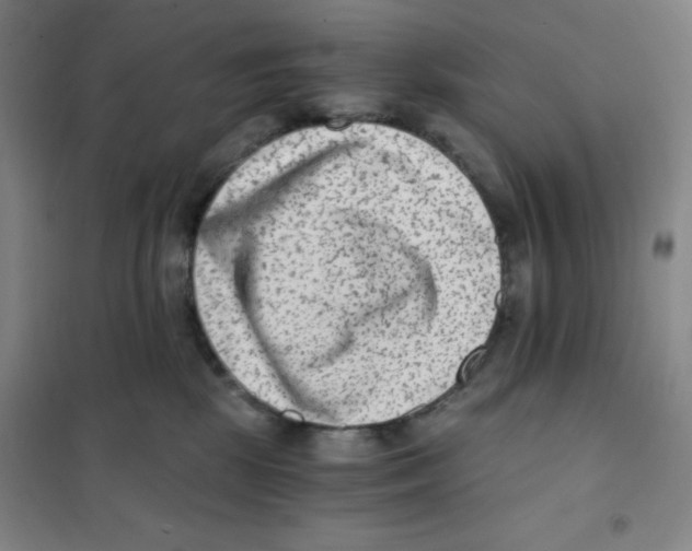X0000101110281200807241142