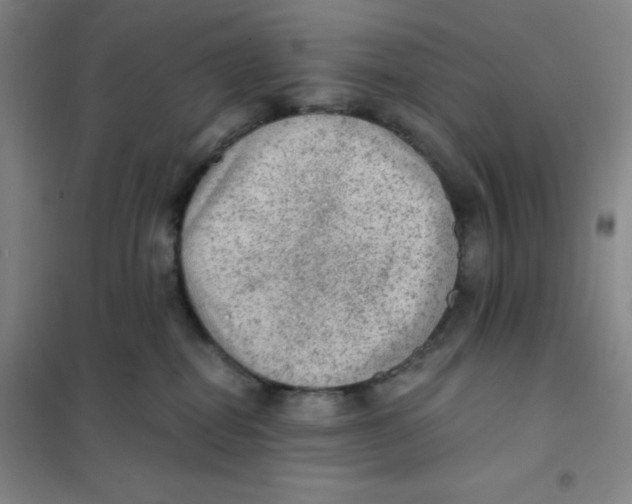 X0000101110282200807241143
