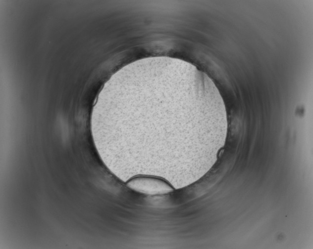 X0000101110283200807241143
