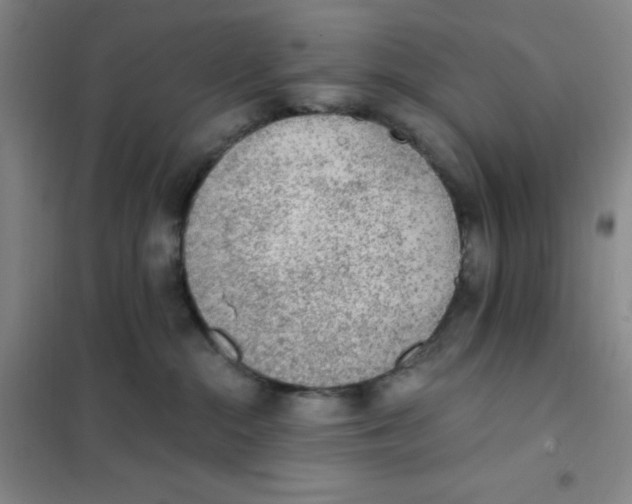 X0000101110284200807241143