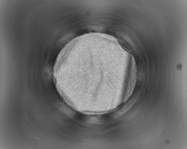 X0000101110285200807241143