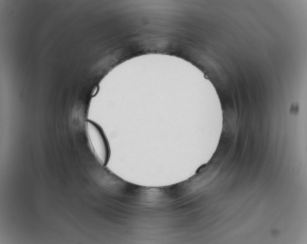 X0000101110287200807241143