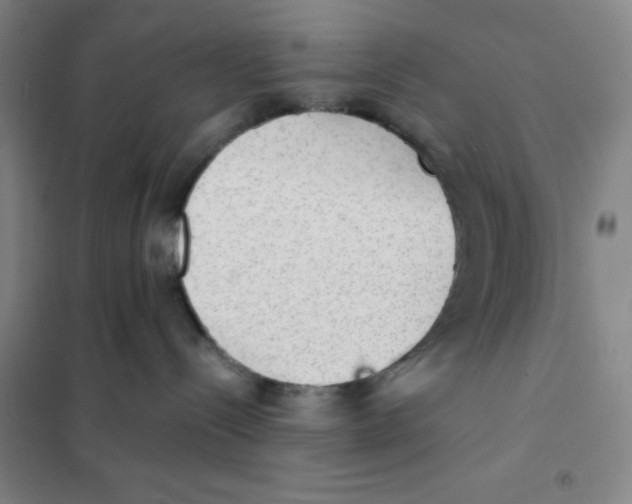 X0000101110288200807241143