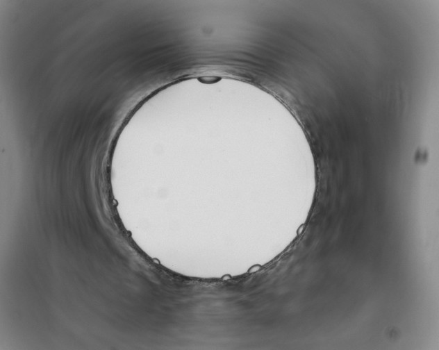 X0000101110289200807241142