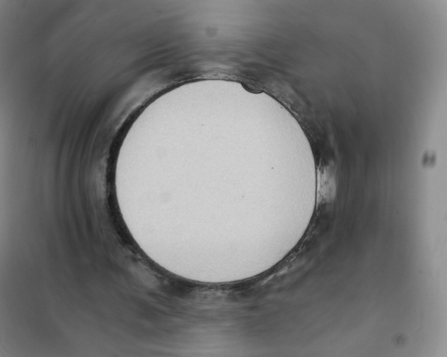 X0000101110291200807241142
