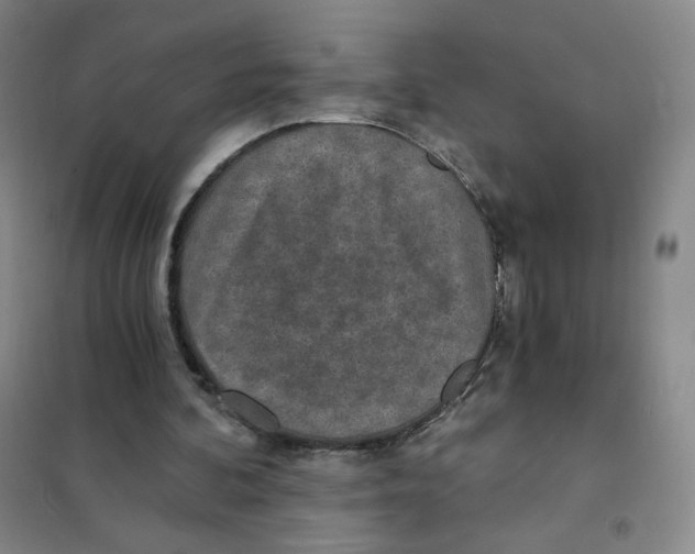 X0000101110292200807241142