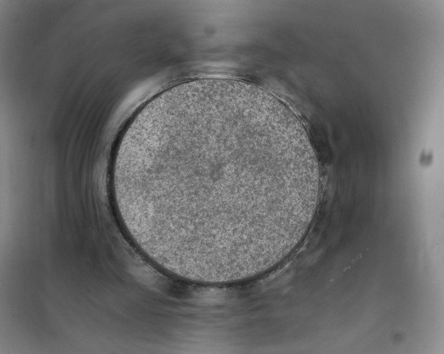 X0000101110293200807241142