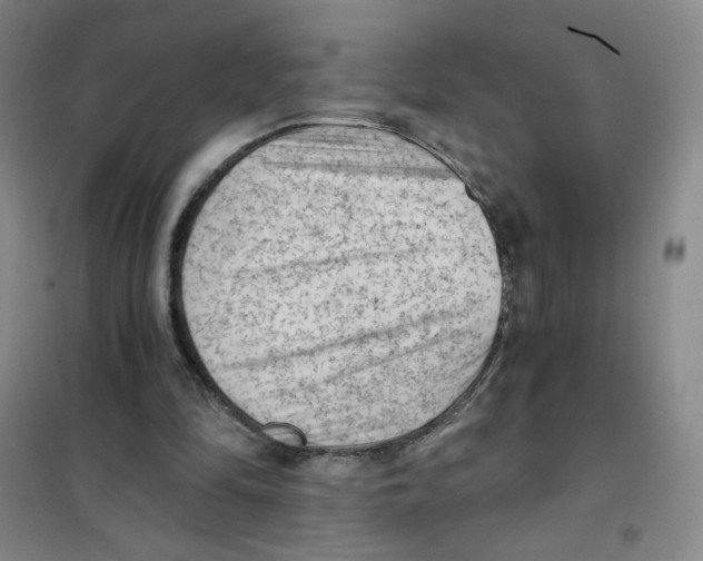 X0000101110294200807241142