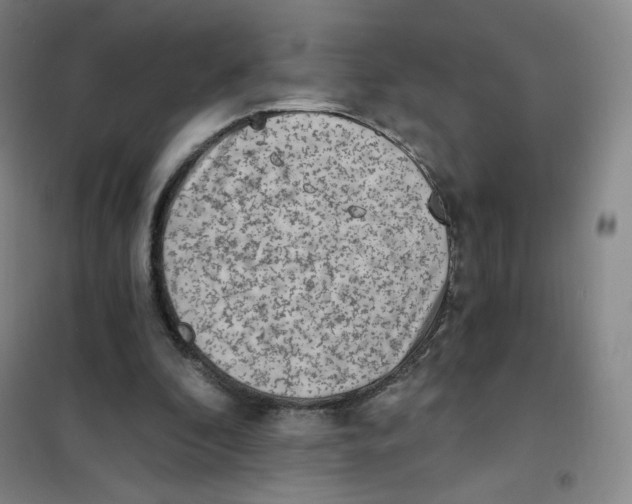 X0000101110296200807241142