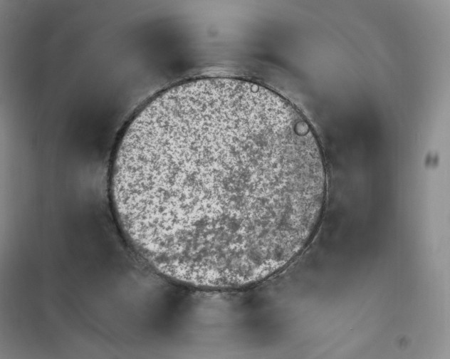 X0000101110297200807241142